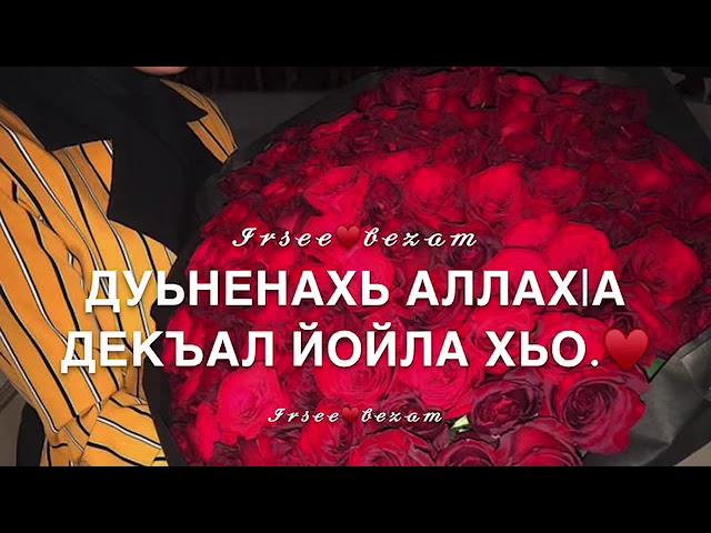Песня на день рождения! Дал декъал йойла!️