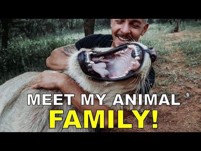 Dean Schneider - Hakuna Mipaka VLOG 6 Meet my Animal Family