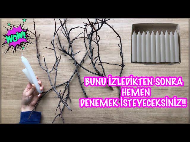 Cool DIY Idea with Candle and Tree Branch