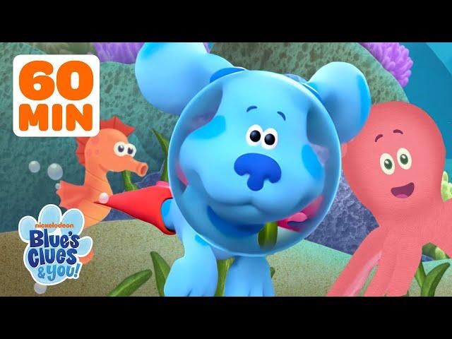 Blue Dives Into Underwater Adventures!  w/ Josh | 60 Minute Compilation | Blue's Clues & You!