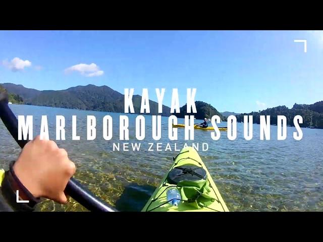 Kayak in Marlborough Sounds - New Zealand