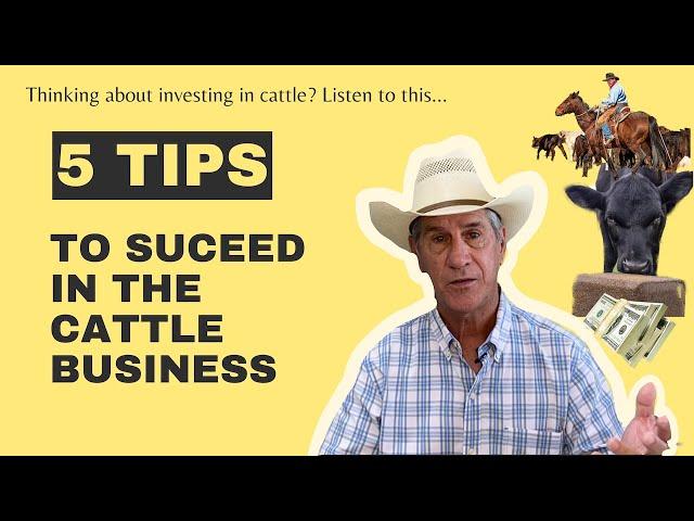 High Prices Have Piqued Interest in Cattle. Here's Some Things to Know!