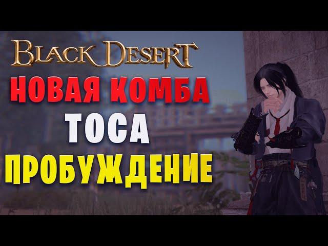 Новая комба для тосы (Пробуждение) || (Black Desert)