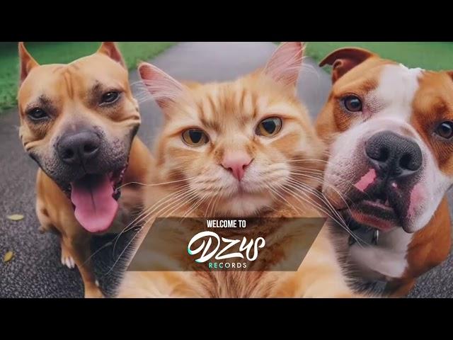 CẬU CẢ REMIX , KHU BIÊN GIỚI , ANH EM MACAU REMIX - NHẠC RAP HAY NHẤT
