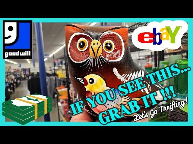 I Almost LEFT IT BEHIND at GOODWILL! / THRIFT WITH ME / My TOP 5 SOLD ITEMS / Funny BLOOPERS