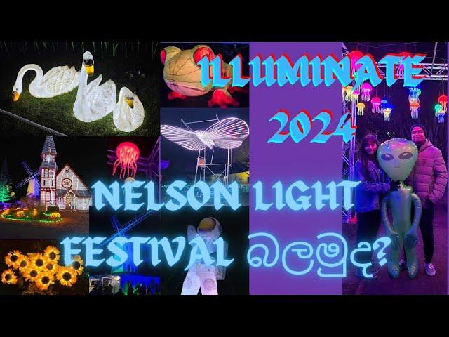 Illuminate 2024 ️⭐| V3 එක්ක Nelson light festival බලන්න යමු... @V3Onthemove