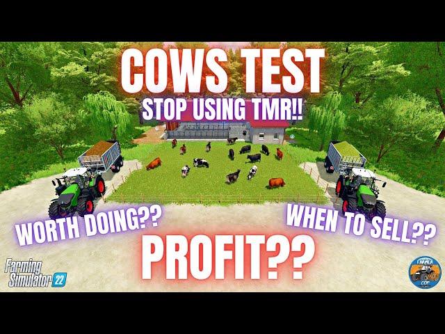 COWS TEST - Farming Simulator 22