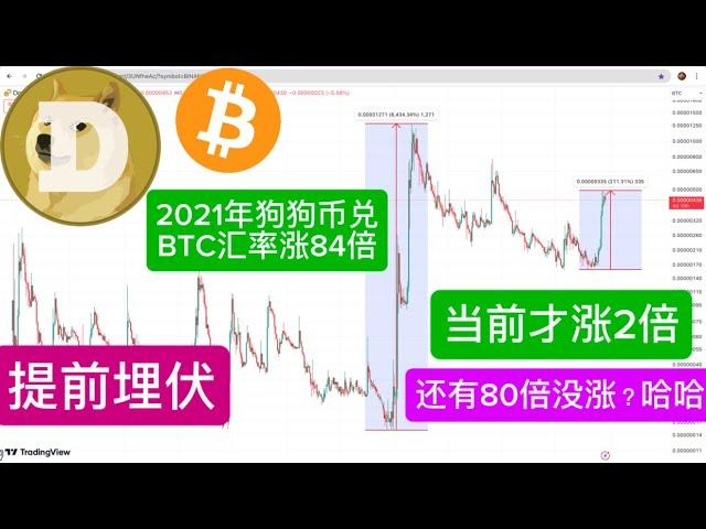 DOGE DOGECOIN NEWS 狗狗币更新 狗狗币第二波马上爆发！ 提前埋伏 狗狗币兑BTC汇率还有巨大空间2017年涨了196倍 2021年币涨了665倍抓住2025大牛市全靠狗狗币 BTC