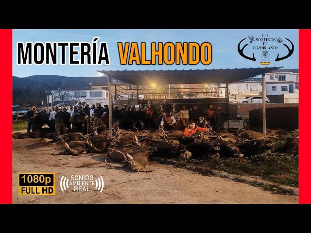 MONTERÍA VALHONDO 2024 | CD MONTEROS DE POZOBLANCO #229