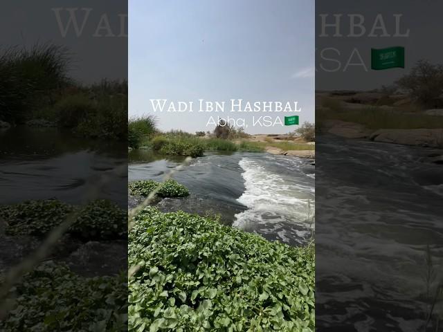 Wādī Bin Hashbal | Abha, KSA | #welcometoarabia #visitsaudi #lifeinksa #jonashkhoo