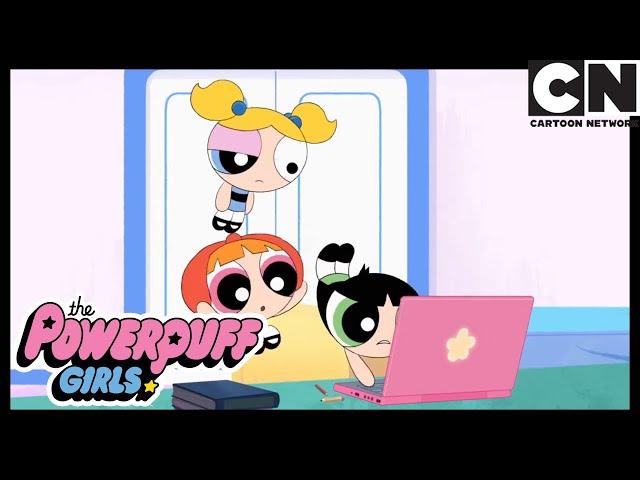 Sahte Haberler | Powerpuff Girls Türkçe | çizgi film