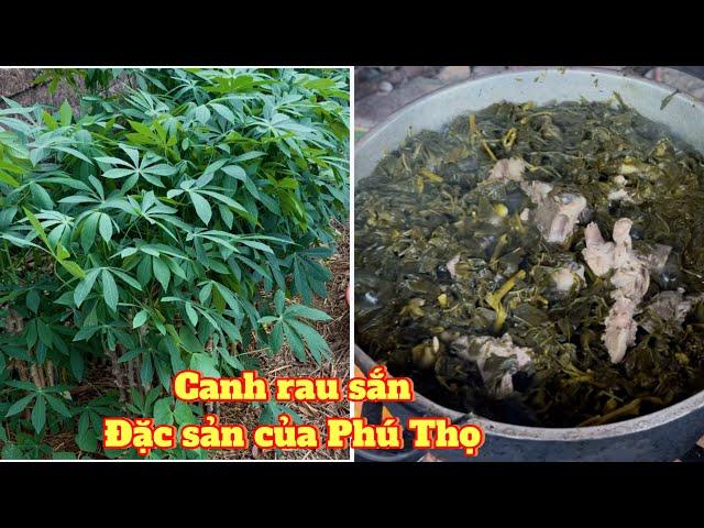 Canh rau sắn đặc sản của Phú Thọ quê tôi | cánh cò vlog