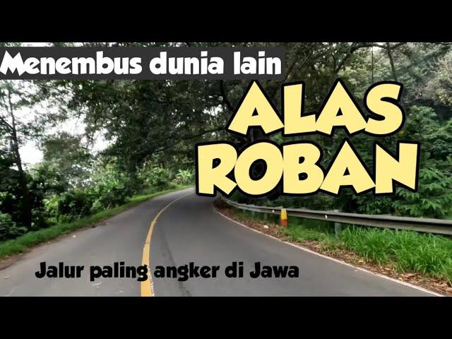 Perjalanan melewati DUNIA LAIN !!JALUR KUNO PALING ANGKER Indonesia motovlog jalan tengah ALAS ROBAN