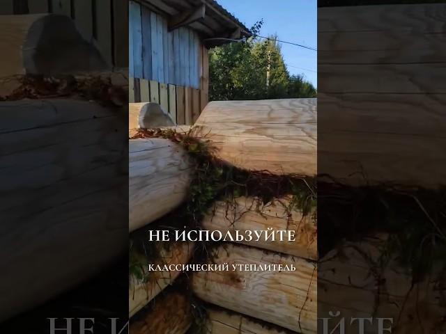 МОХ и ПАКЛЯ - УЖАС!! #деревянныйдом #утеплитель #мох #пакля