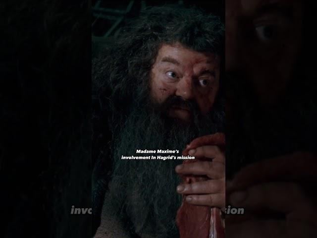 3 cool things omitted from Harry Potter and the Order of the Phoenix movie