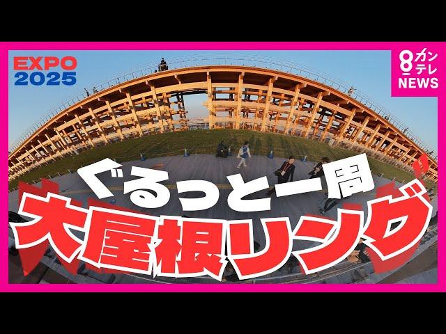 【大屋根リング一周】360° / VRカメラで撮影しました。大阪・関西万博　画面を動かしてご覧ください。（４Ｋ撮影）　EXPO2025 OSAKA KANSAI JAPAN 〈カンテレNEWS〉
