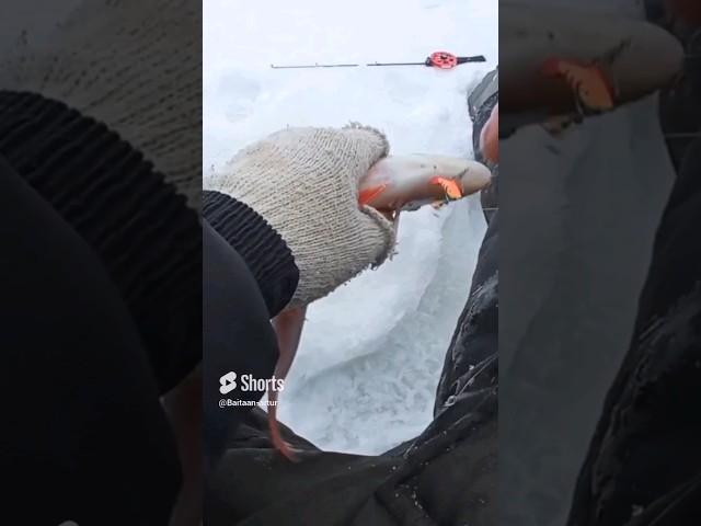 Рабочий балансир ручной работы.  https://vk.com/baitaan