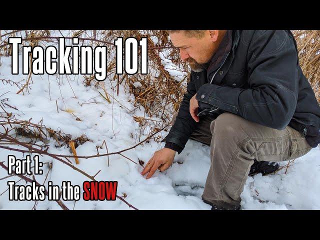 Tracking 101: Tracks in the Snow | How to evaluate footprints