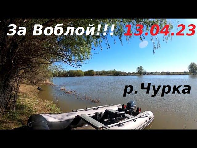 Рыбалка, Астрахань 2023/За воблой, по большой воде/