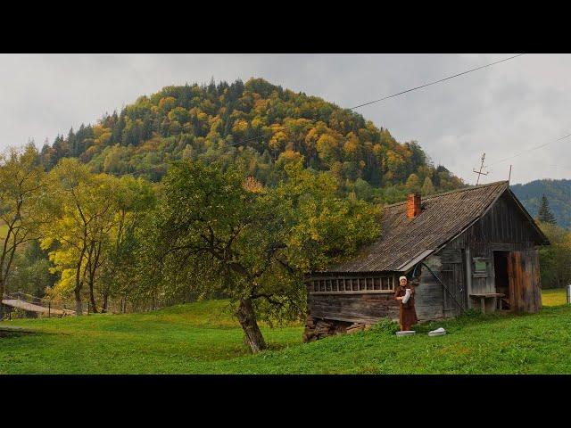 She Lives Alone in the Mountains — A Hidden Life in Stunning Isolation