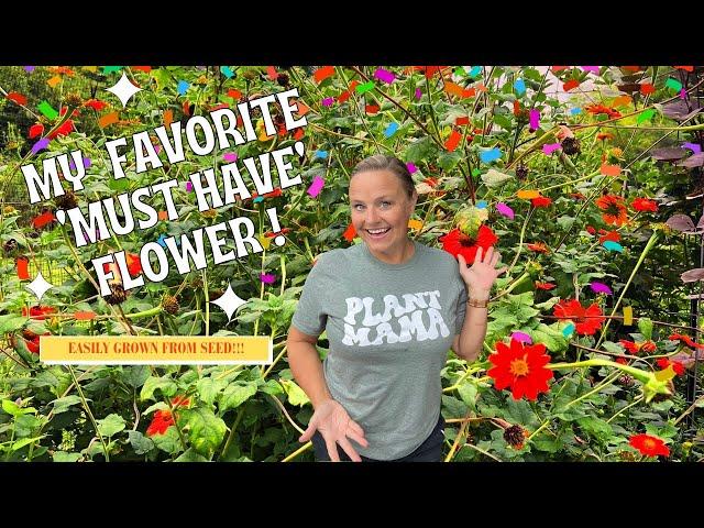 Why Mexican Sunflower (Tithonia) is My #1 MUST-GROW Seed! Discover Its Magic! | The Southern Daisy