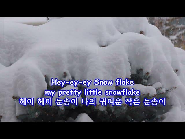 Snowflake - Jim Reeves: with Lyrics(가사번역) ||  Centennial, Colorado on Nov. 9, 2024