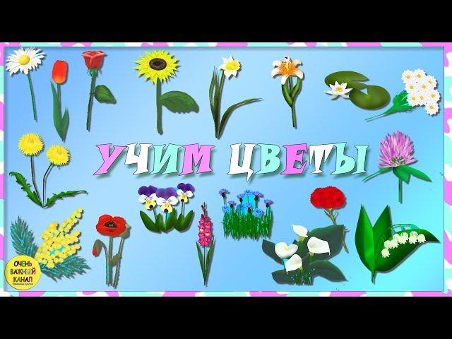 Учим слова. Цветы для малышей! Развивающие мультики для детей