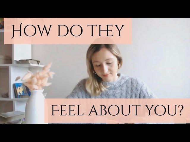 How Do They Feel About You?*Pick a card* Timeless Tarot Reading