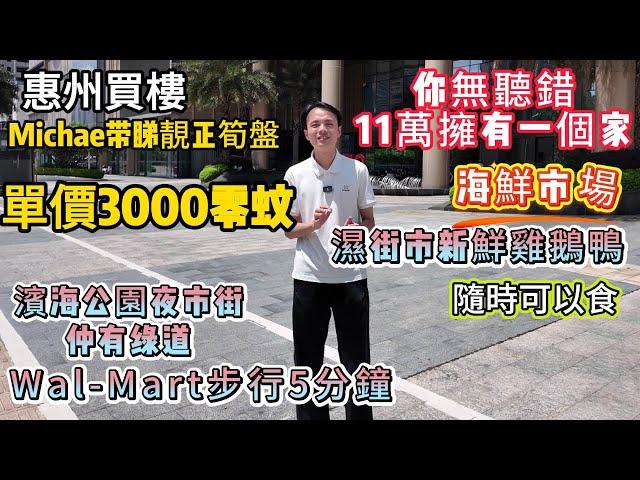 惠州買樓｜Michae带睇靚正筍盤｜你無聽錯11萬擁有一個家｜單價3000零蚊｜Wal-Mart步行5分鐘｜海鮮市場 濕街市新鮮雞鵝鴨隨時可以食｜濱海公園夜市街仲有绿道
