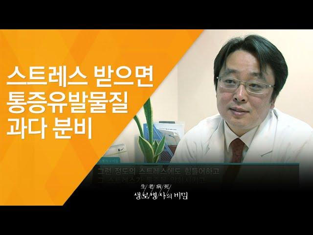 스트레스 받으면 통증유발물질 과다 분비 - (2011.1.29_360회 방송)_참을 수 없는 고통, 만성통증증후군