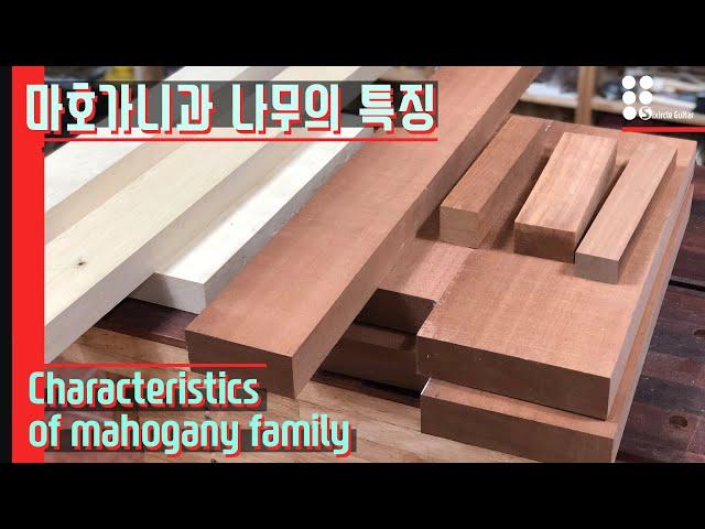 마호가니의 특징 I Characteristics of mahogany