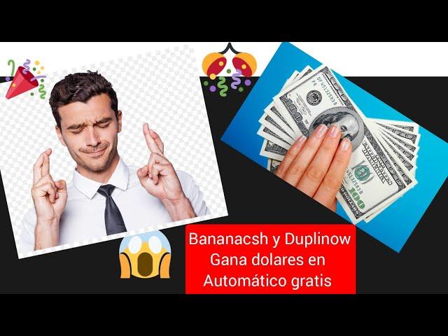 Gana dolares en automático gratis con Duplinow y bananacsh 