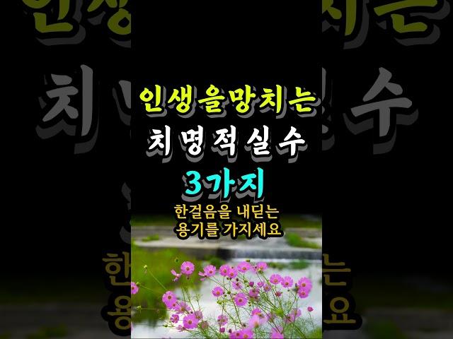 인생을 망치는 치명적 실수 3가지 #자기계발 #오늘의명언 #지혜