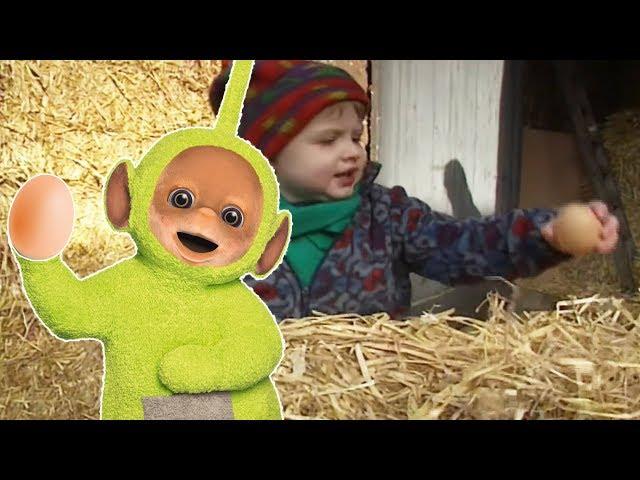 Becky And Jed Find Eggs - Teletubbies - Full Episode