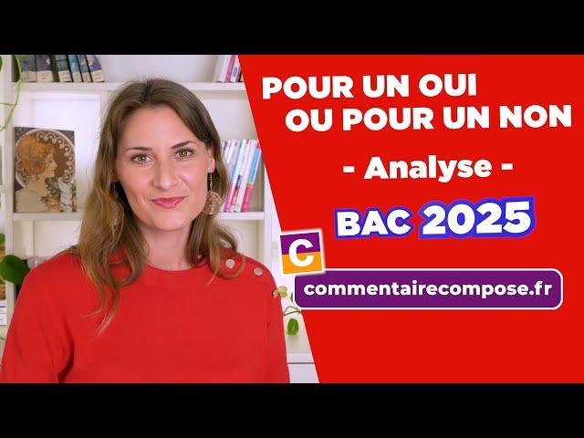 Pour un oui ou pour un non, Sarraute : analyse des thèmes et du parcours pour le bac de français !