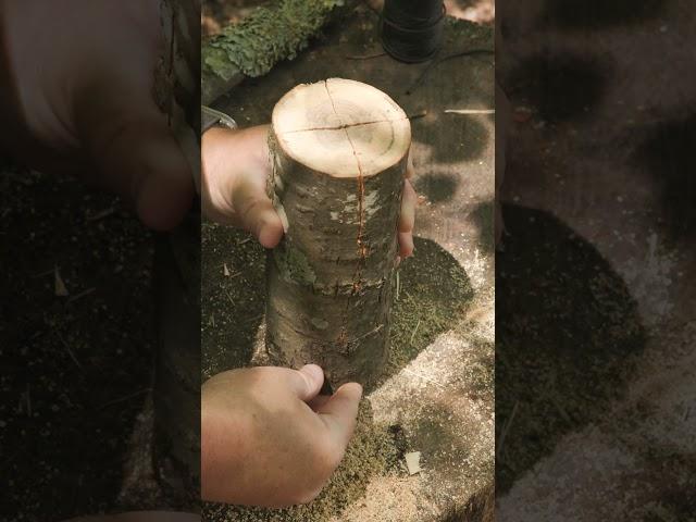 Can You Make This SIMPLE Wooden Storage Box? #survival  #camping  #outdoors  #bushcraft