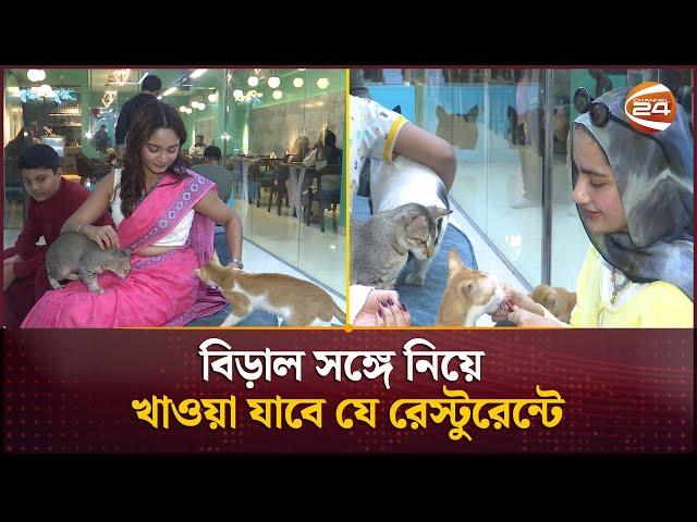 ঢাকায় এবার বিড়ালের রেস্টুরেন্ট | Cat Cafe | Channel 24