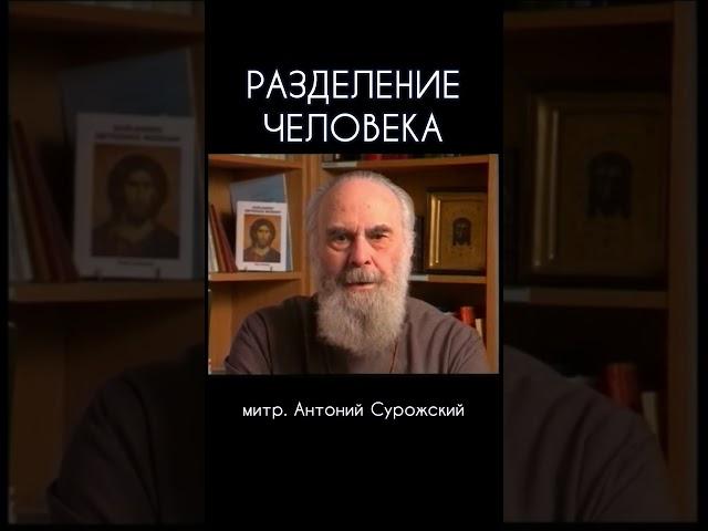 Разделение человека | митр. Антоний Сурожский