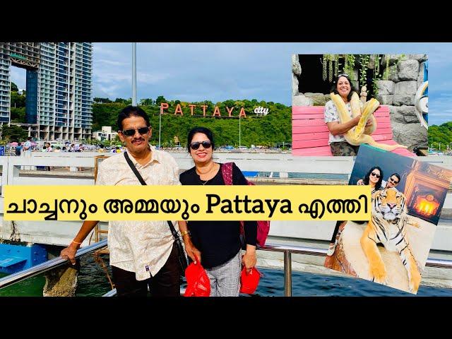 തായ്‌ലൻഡിൽ നിന്നുള്ള ആദ്യത്തെ വ്ലോഗ്️#trendingnow #pattaya #familyvlog #familytime #ammalove