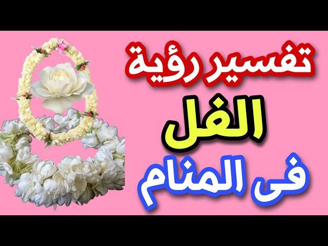 تفسير رؤية الفل فى المنام رؤية عقد الفل فى الحلم رؤية رائحة الفل فى المنام