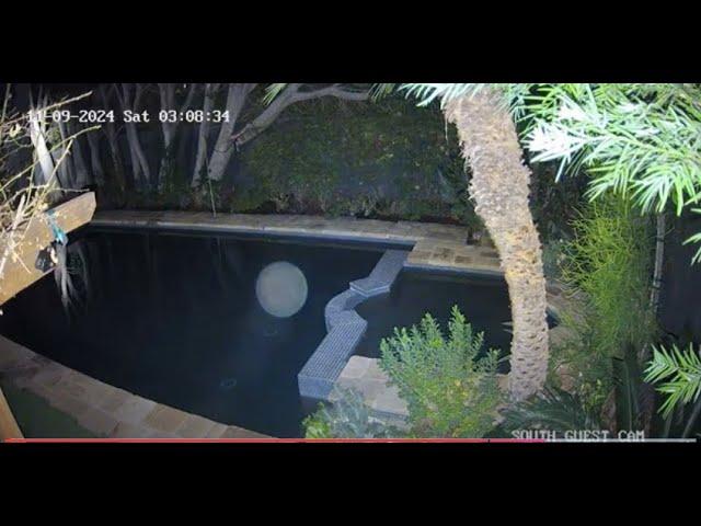 Dog Spots Floating Orbs? Paranormal Activity Caught on Camera - Wait for it (Unexplained Phenomena)