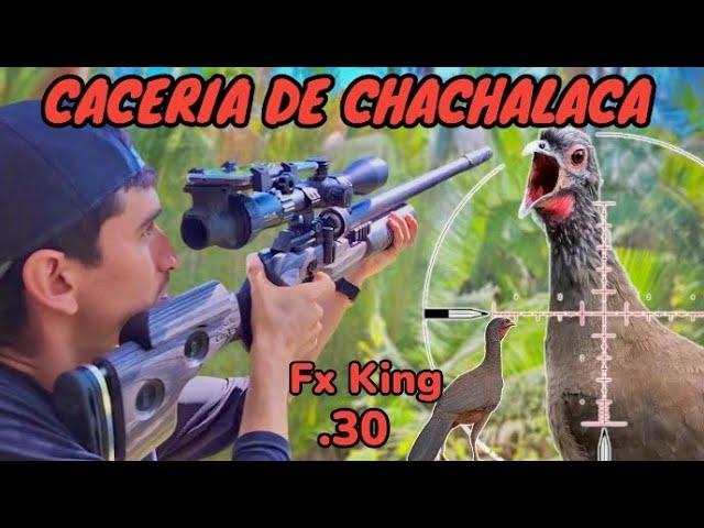 Que poder ‼️ caceria de chachalaca con pcp Fx King .30 / Conócelo