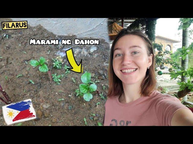 Malapit na kaming maka harvest ng pananim namin | LIVING IN THE PHILIPPINES 