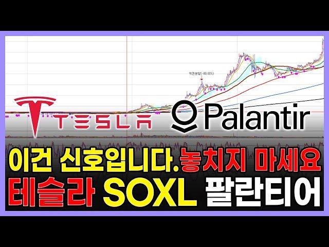 이건 신호입니다. 절대 놓치지 마세요. 테슬라 SOXL 팔란티어 애플