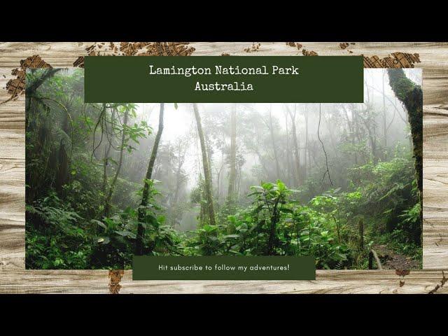 AUSTRALIA TRAVEL VLOG #1: Lamington National Park, Queensland, Australia. Road trip from Gold Coast