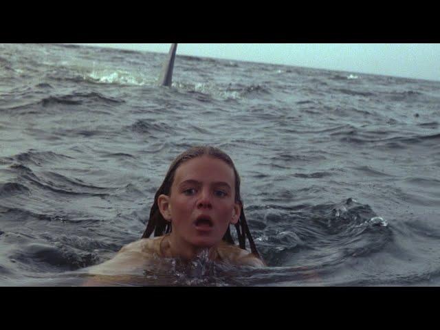 The Shark in Jaws 2