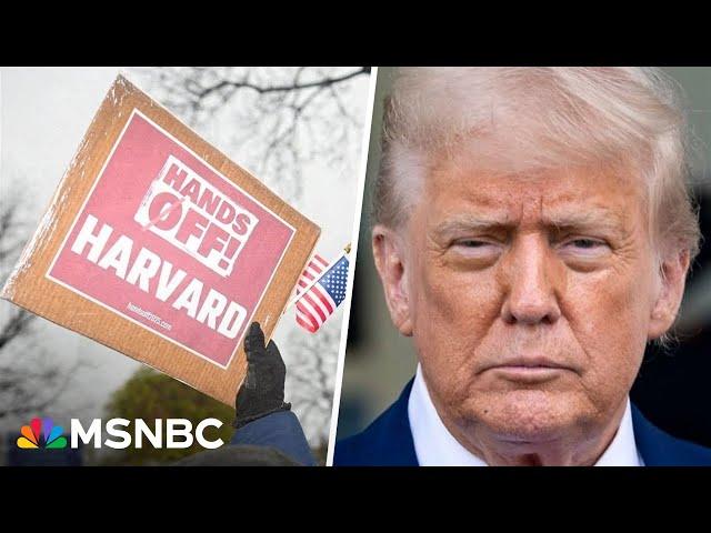 Trump vs. Harvard: Why admin's crackdown will have 'trickle-down' effect on higher education
