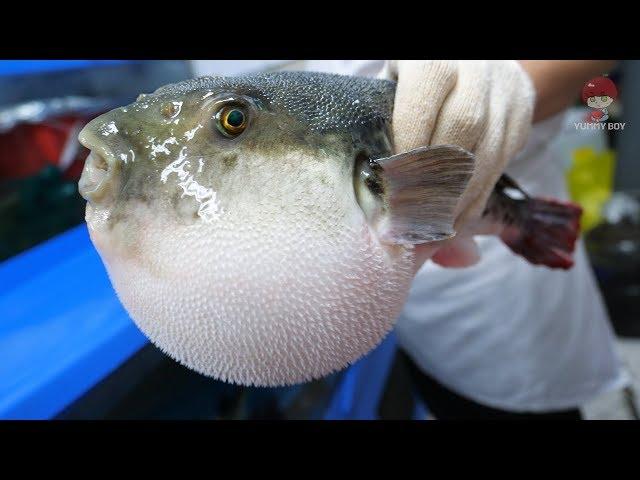 Korean street food - Puffer fish, blowfish eat carrot! toxic cleaning