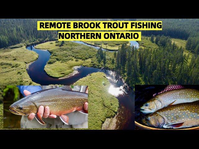 Remote Brook Trout Fishing Northern Ontario