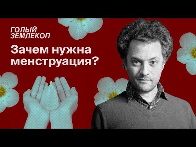 Как менструация защищает женский организм от эксплуатации | Илья Колмановский, «Голый землекоп»